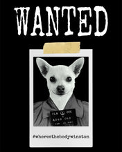 Load image into Gallery viewer, Wanted Winston 3/4 sleeve raglan shirt
