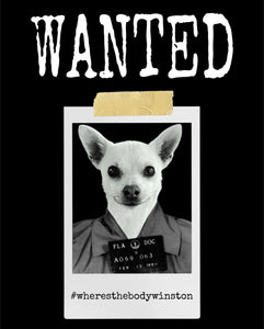 Wanted Winston 3/4 sleeve raglan shirt