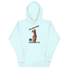 Load image into Gallery viewer, Nugget Unisex Hoodie