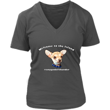 Load image into Gallery viewer, Women&#39;s District V-Neck T-Shirt (additional colors available)
