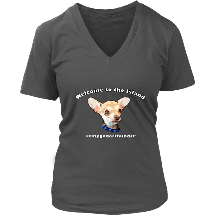 Women's District V-Neck T-Shirt (additional colors available)