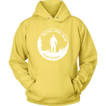 Load image into Gallery viewer, Sanctuary Logo Bright Hoodie