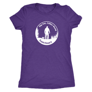 Women's Next Level Triblend T-Shirt (additional colors available)