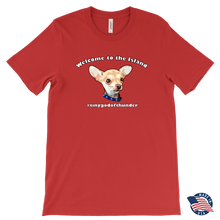 Load image into Gallery viewer, Men&#39;s Canvas T-Shirt (additional colors available)