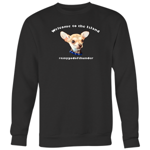 Men's Crewneck Sweatshirt (Additional Colors Available)