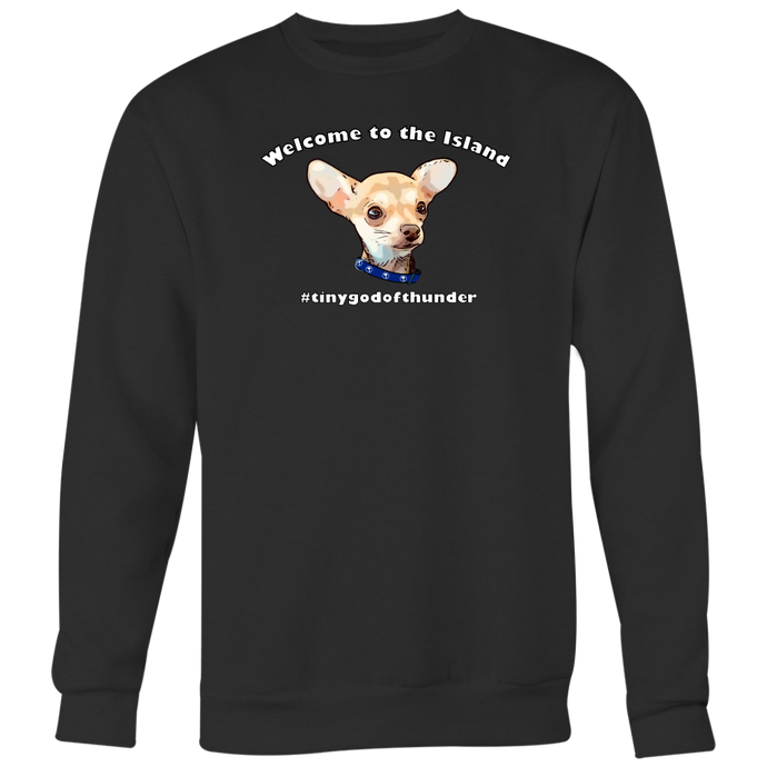 Men's Crewneck Sweatshirt (Additional Colors Available)