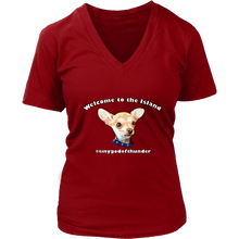 Load image into Gallery viewer, Women&#39;s District V-Neck T-Shirt (additional colors available)
