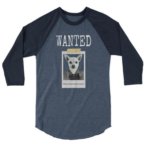 Wanted Winston 3/4 sleeve raglan shirt
